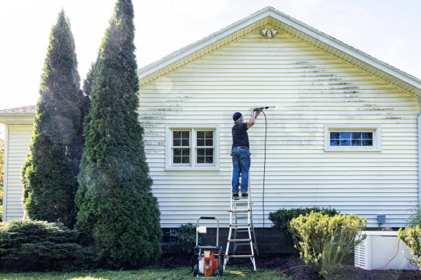Best Patio and Deck Pressure Washing  in Galena, KS